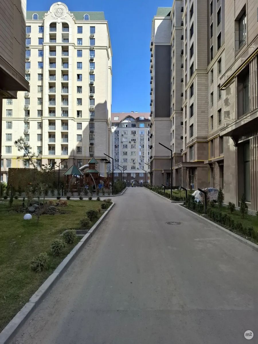 1742724227_53593400.jpg