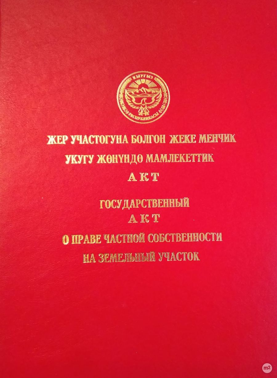 1580379876_99093800.jpg