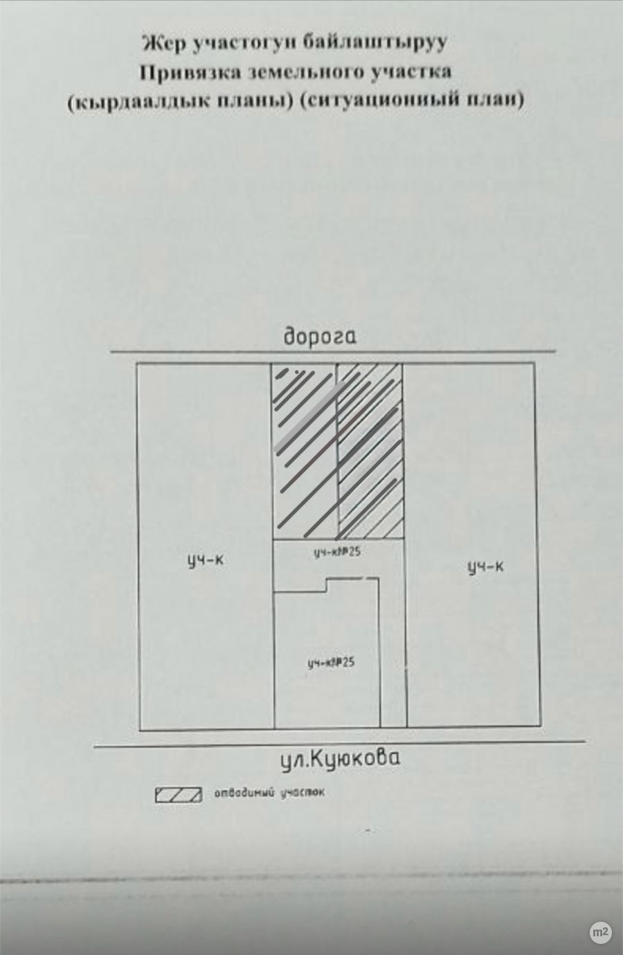1741965570_95275800.jpg