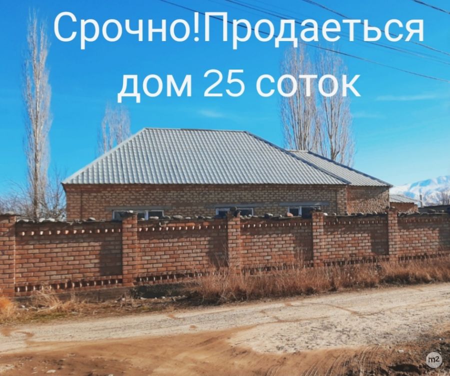 1768561444_05933500.jpg