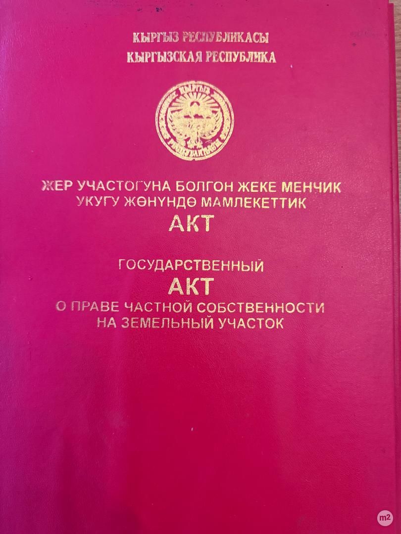 1773212697_26288200.jpg