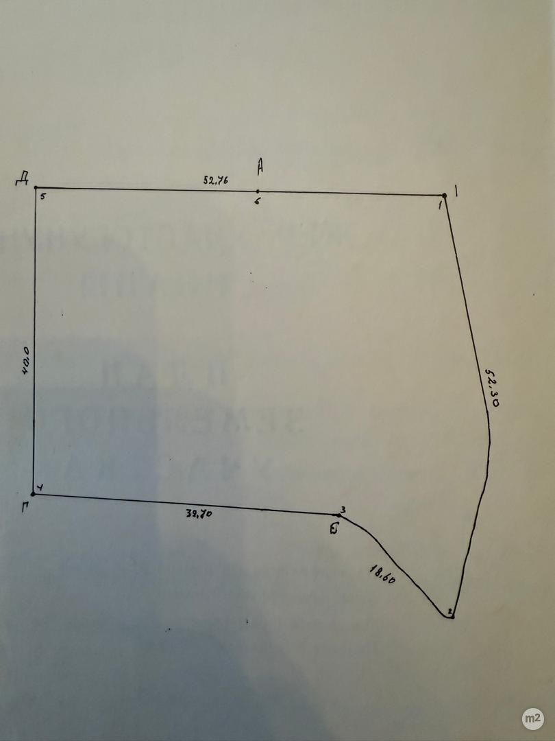 1773212699_60168800.jpg