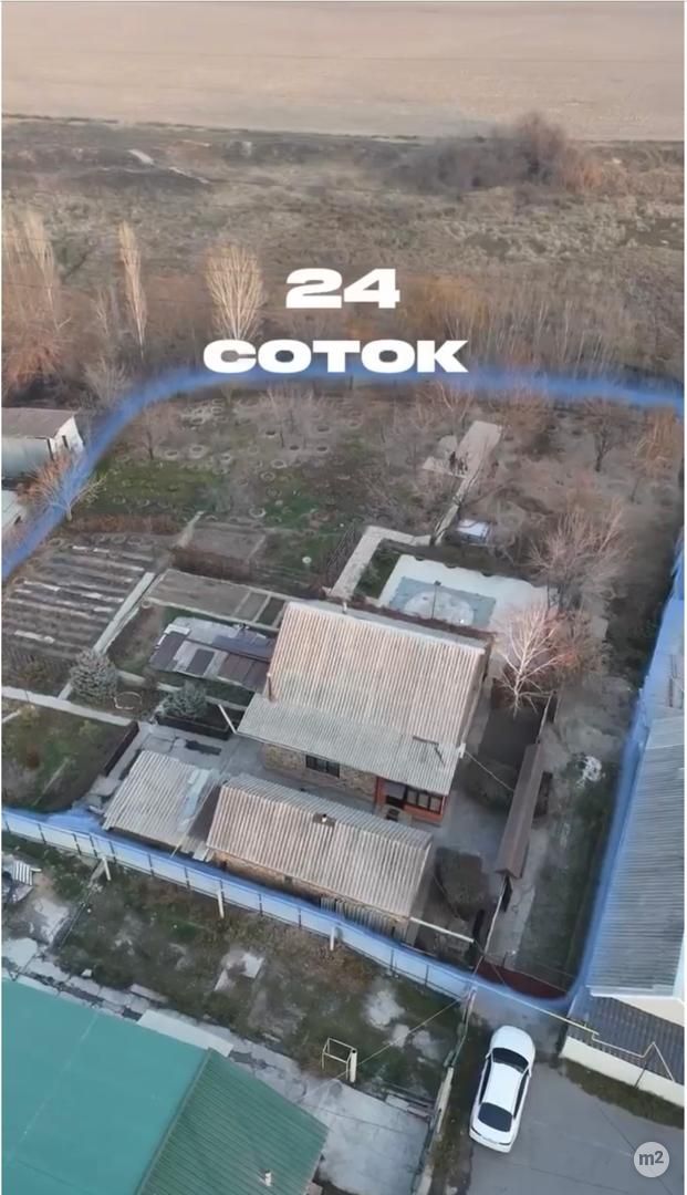1773212704_87878100.jpg