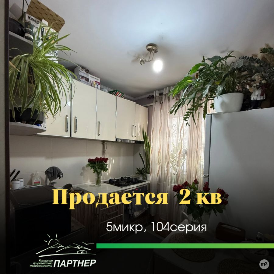 1777009487_33090600.jpg