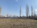 Участок 8.00 га(с. Чон - Таш, Аламудунский район, Чуйская область)